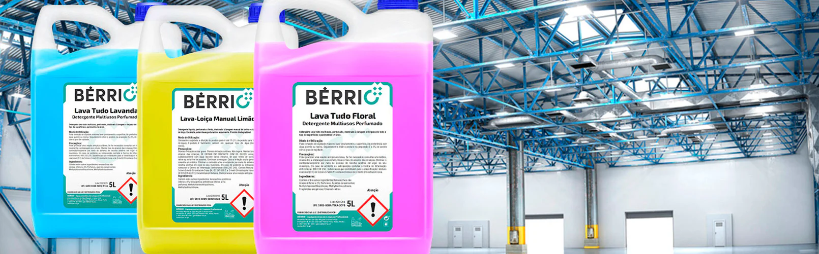 Limpeza Profissional com Máxima Eficiência